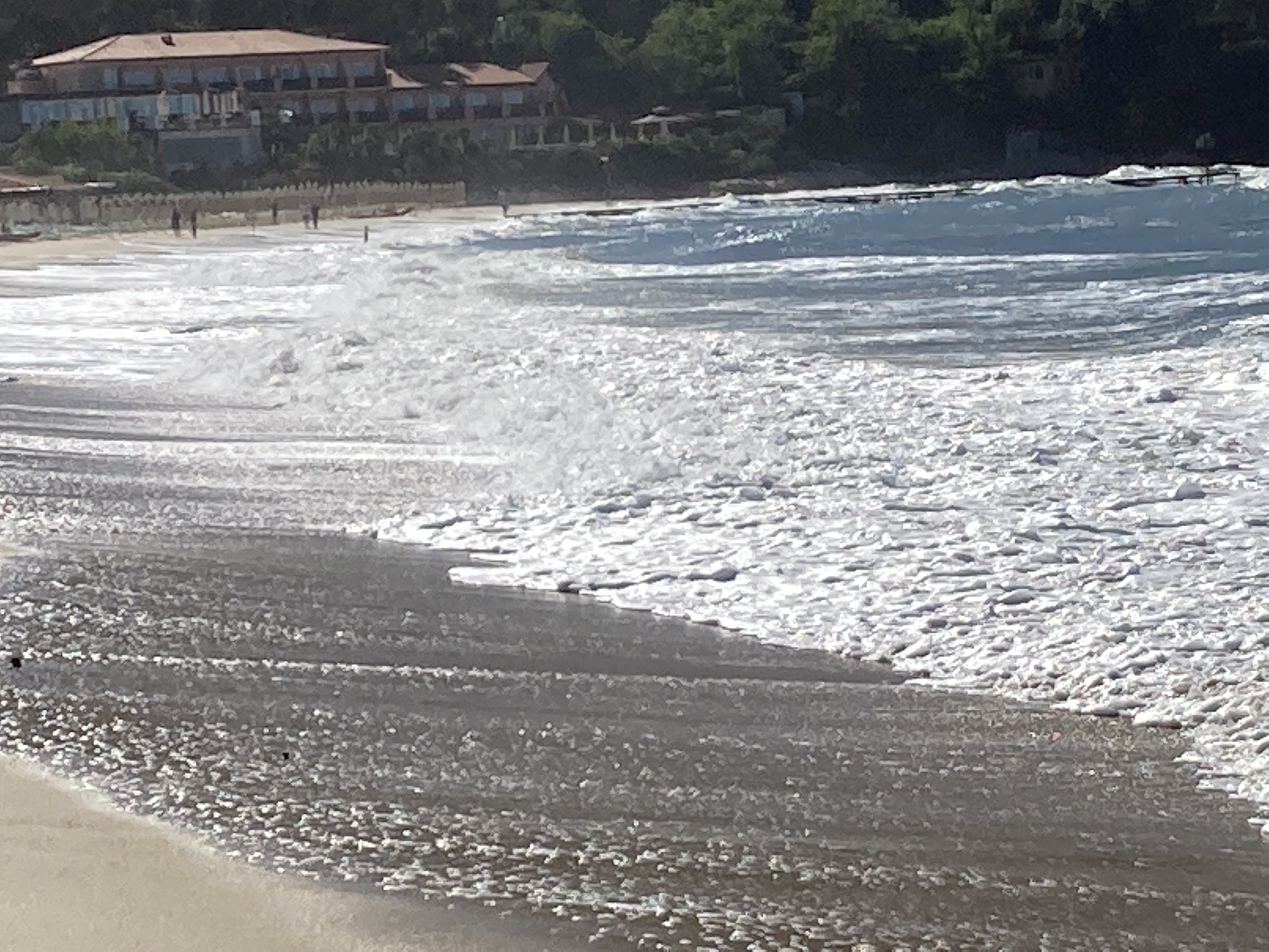 Yogawoche auf der Insel Elba in Procchio